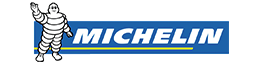 Website Development Company Client - Michelin